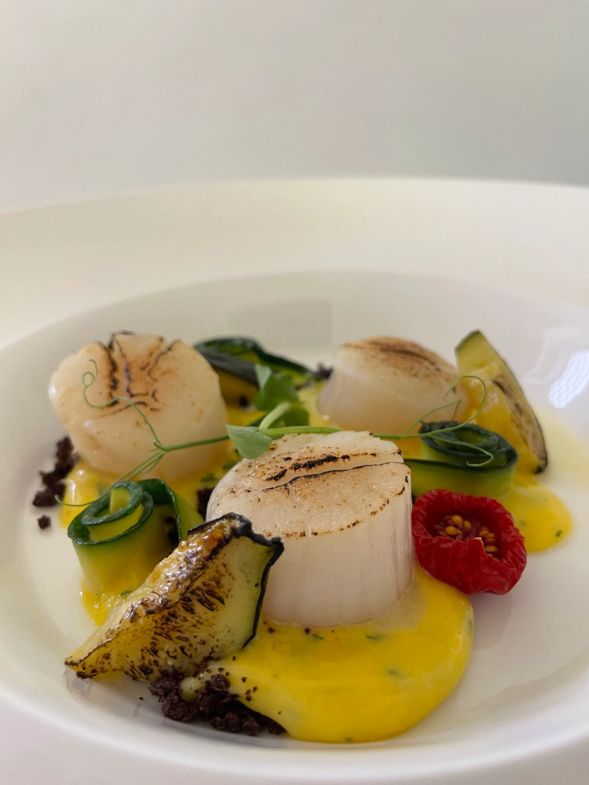 Ristoranti a Bari sul mare Romanazzi's Pesce